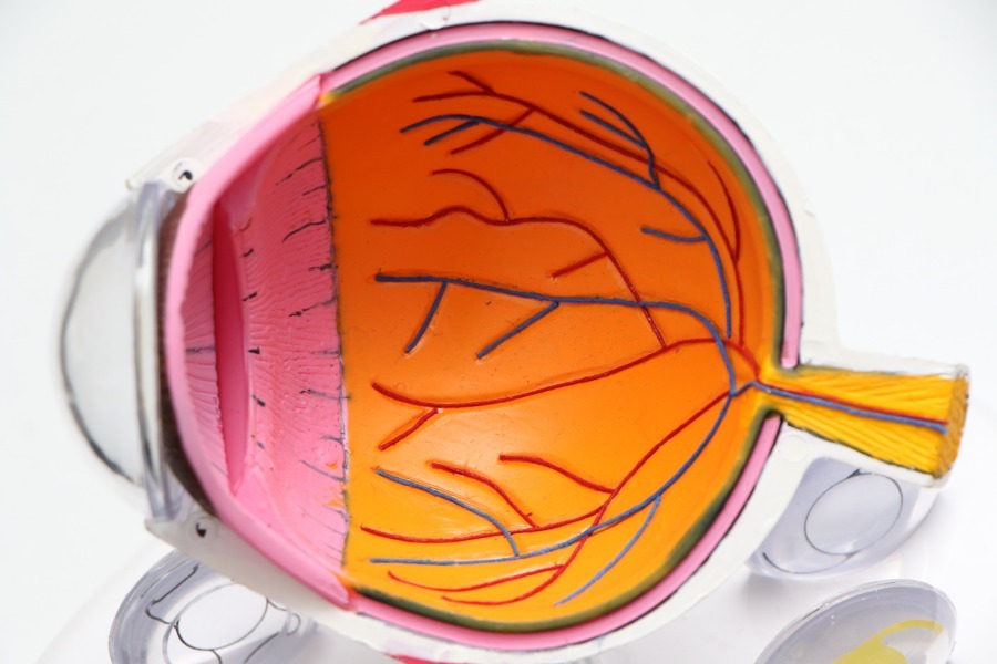 La diabetes ocular puede derivar en pérdida de visión o ceguera
